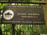 Del Viento Cave - ISABELA